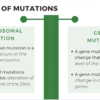 Mutations - Image 3